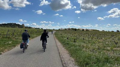 Autoluwe fietsroute over ruim 800 km in Frankrijk (ViaRhôna)