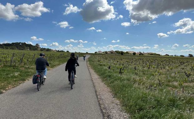 Autoluwe fietsroute over ruim 800 km in Frankrijk (ViaRhôna)