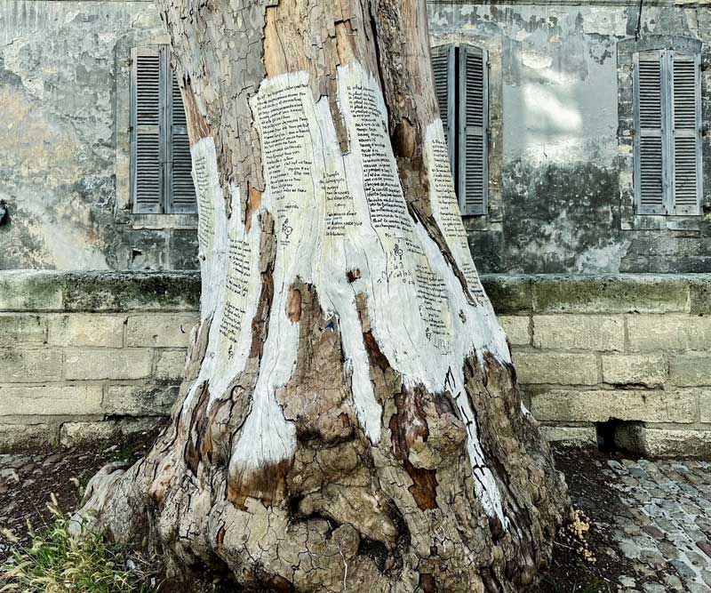 Bomen met gedichten in Avignon