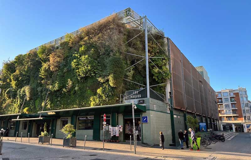 Les Halles in Avignon