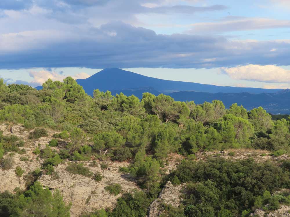 Uitzicht op de Mont Ventoux