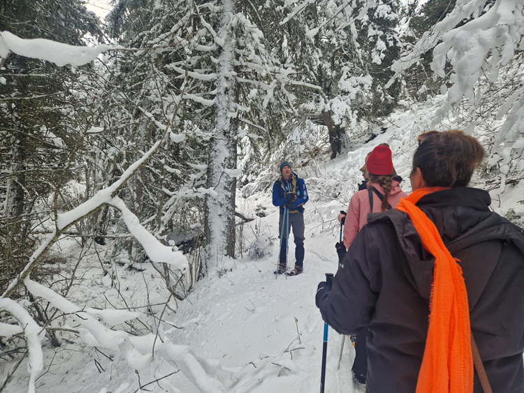 sneeuwschoenwandeling Méribel